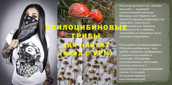 стаф Бронницы