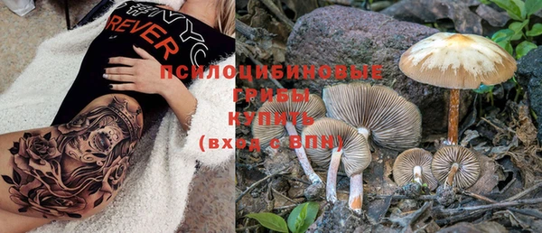 стаф Бронницы